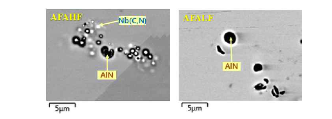 AFAHF 및 AFALF의 1250℃ 균질화 후 미세조직 중 제2상