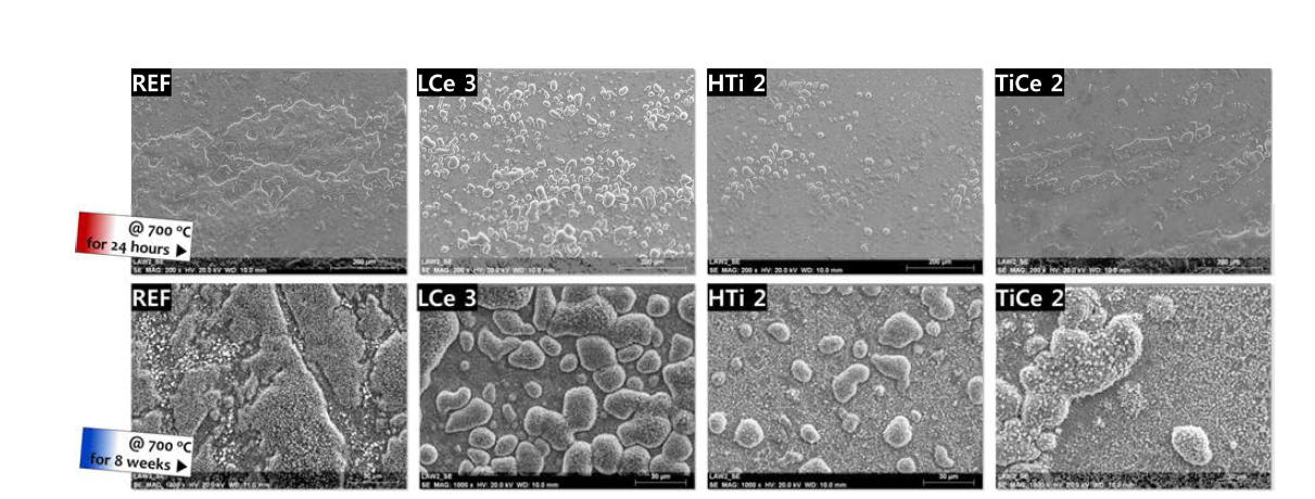 산화시험 (700℃, 24 시간(상단) 및 8주(하단)) 후 Super304H(REF), LCe3, HTi2, 그리고 TiCe2 합금의 표면 상태.