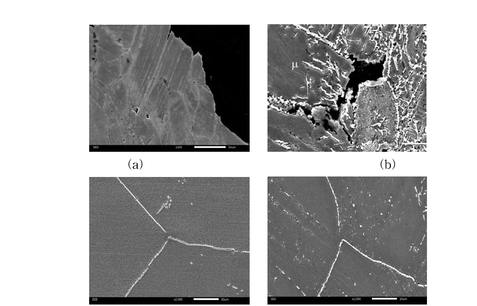 creep변형 미세조직 (a) EPM-213, (b) EPM-032, (c) EPM-261, (d) EPM-263