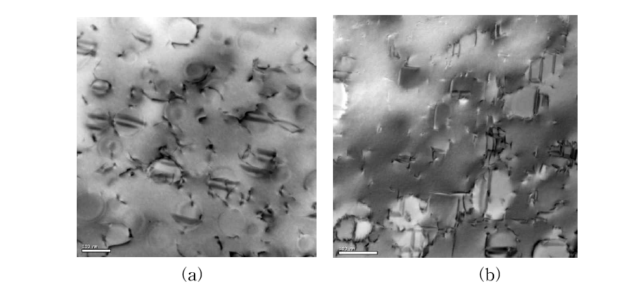 개발합금의 760℃, 283MPa creep변형 전위 구조 (a) EPM-261, (b) EPM-263