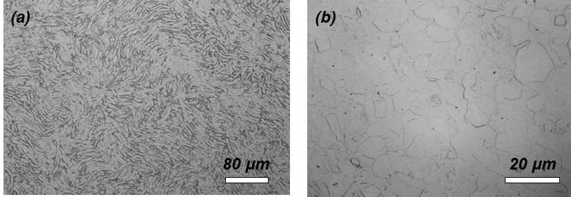 단조재 광학현미경 사진: (a) 구상화 전, (b) 구상화 후