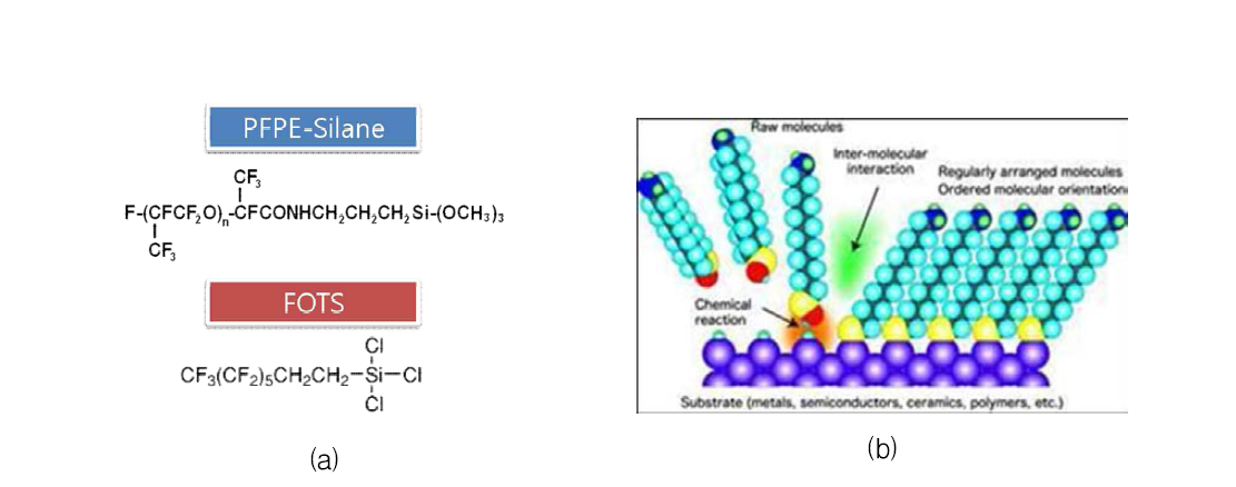 (a) 내지문 코팅제인 PFPE-silane과 FOTS의 분자구조, (b) 내지문 코팅제인 SAMs 코팅 개념도