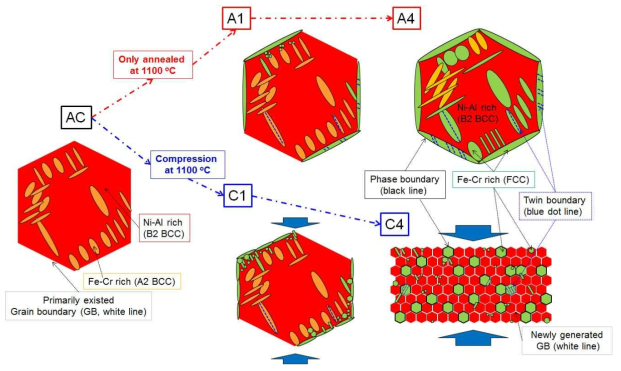 BCC계 AlCoCrFeNiTi HEA 합금의 고온 미세조직 형성 schematics 도출