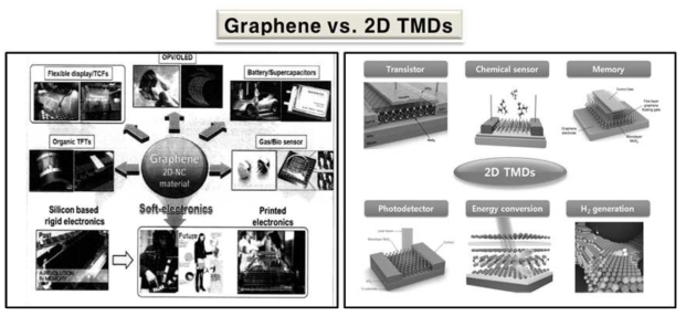 그래핀과 2D TMDs와의 응용분야 비교