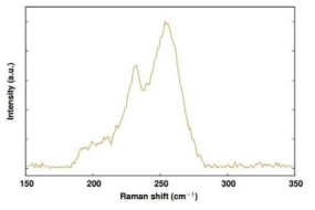 합성된 NbSe2의 라만 스펙트럼