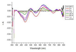 시간 경과에 따른 WSe2의 스펙트럼 변화
