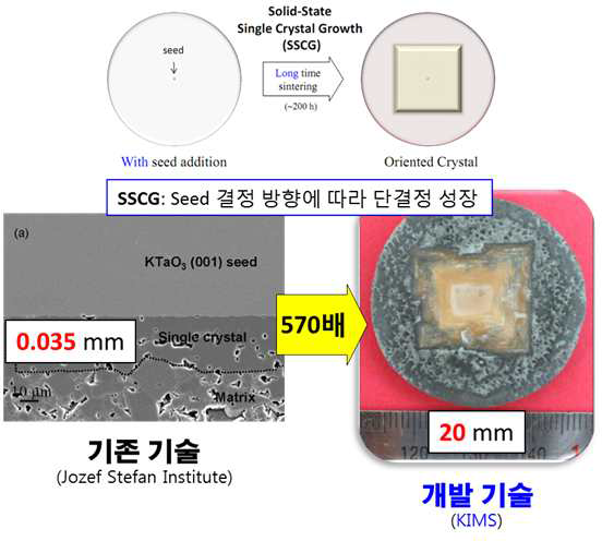 단결정 성장 방향 제어 및 SSCG 응용 기술 개발 결과