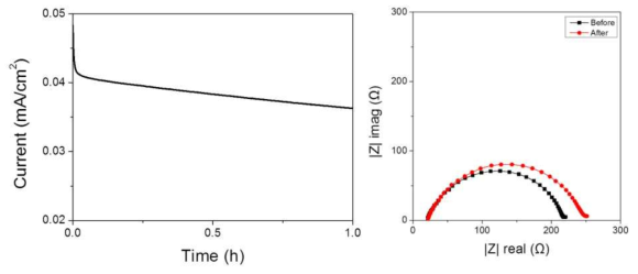 Time-dependence response of DC polarization (왼쪽), Nyquist polts (오른쪽)