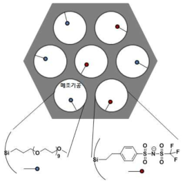기공을 가지는 실리카의 구조