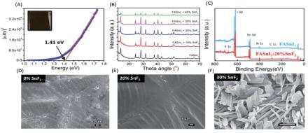 FASnI3 태양전지 제작 및 필름 모폴러지 제어 (SnF2)