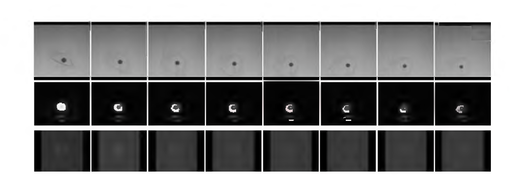 Experimental images downloaded from the NASA CFI/FLEX server