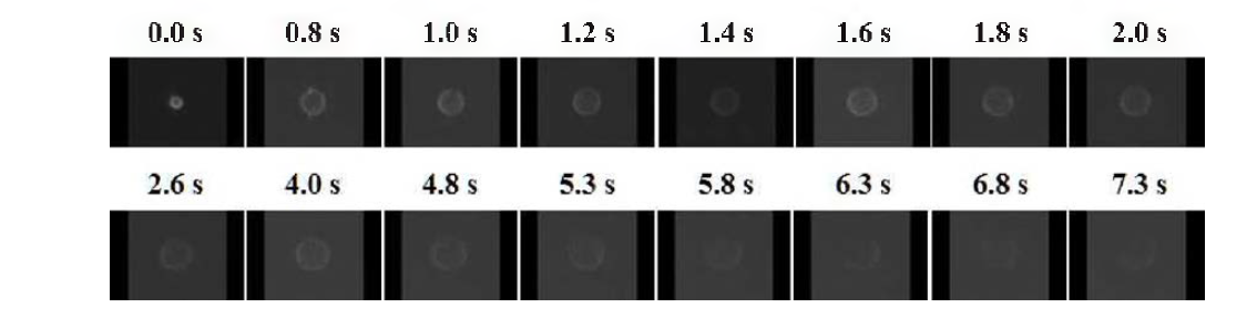 Companions of measured maximum soot volume fraction