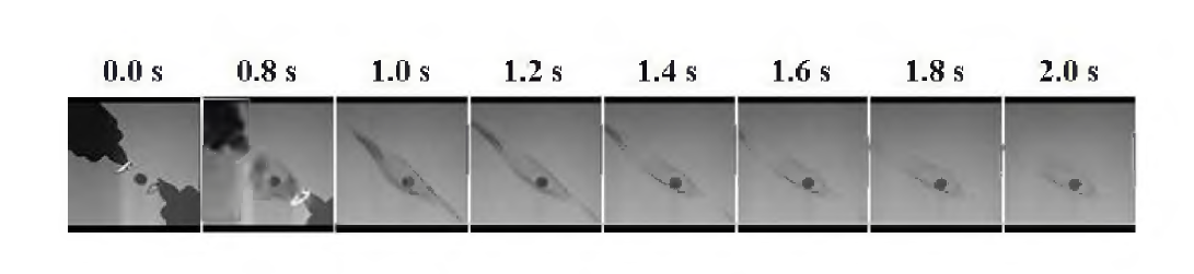 Backlit images of droplet burning captured by illumination package and HiBMs package