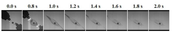 Backlit images of droplet burning captured by illumination package and HiBMs package