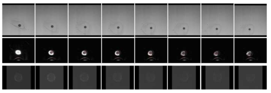 Experimental images downloaded from the NASA CFI/FLEX server