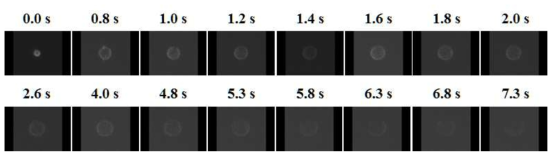 Companions of measured maximum soot volume fraction