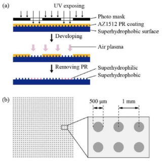 (a) 포토리소그래피를 이용한 패터닝 공정과 (b) 친수-소수 패턴 표면 도식