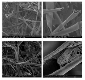 표면 처리 전 (a)과 후(b)의 KAPOK 부직포 섬유 구조에 대한 이미지
