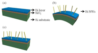 Thermal annealing 방법을 이용한 Bi 나노선 성장 모식도