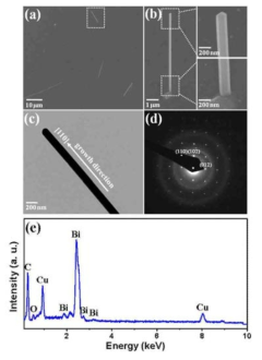 성장된 단결정 Bi 나노선의 물성적 특성 분석(FE-SEM, TEM, EDX)