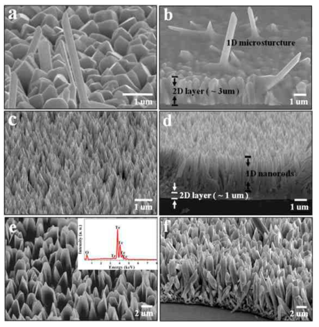 500 ℃(⒜-⒝), 600 ℃(⒞-⒟), 700 ℃(⒠-⒡)에서 성장된 Te 나노선의 FE-SEM 이미지