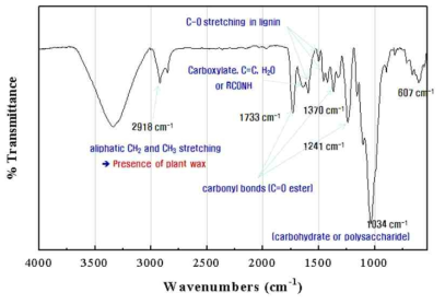 Kapok 섬유의 FTIR spectra