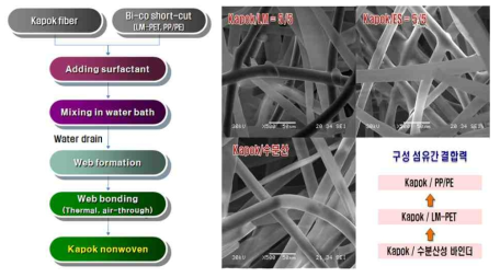 KAPOK 섬유를 이용한 습식 부직포 제조 공정 및 섬유의 전자현미경 사진