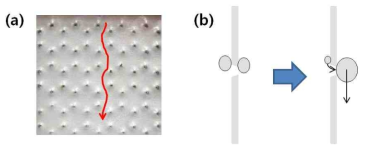 흐름성 개선을 위한 알루미늄 표면 구조 및 모식도, (a) 알루미늄 bump표면 에서의 물방울 흐름 경로 (b) hole을 통한 물의 이동 및 결합