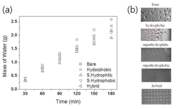 (a) 친수/소수 표면 따른 물 측정량 비교 (b) 표면에 따른 물 응축 이미지