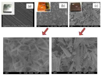 (a)순수한 SS-400, (b)황산구리로 처리 후 SS-400, (c)황산구리 및 질산은을 처리후 SS-400의 SEM이미지