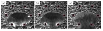 초고속카메라로 측정한 물방울의 표면 제거 과정. (a) 임계체적 물방울 형성, (b) 임계체적 물방울의 이동시작, (c) 임계체적 물방울의 제거