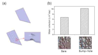 (a) Bump-hole 배열이 형성된 알루미늄 표면 (b) 소수성 Bump-hole 형상 알루미늄 표면의 물 수집 측정 결과(bare, p=6 mm)