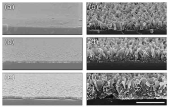 알루미늄 박막 두께, (a)10nm, (c)30nm, (e) 50nm에 따른 수처리 후 (b), (d), (e) 표면의 단면 전자주사현미경사진, 치수선은 500 nm