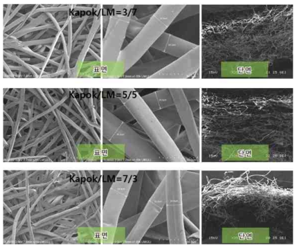 Kapok/LM 부직포의 전자현미경 사진