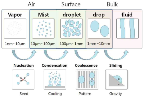 물 액적 크기에 따른 분류와 변화 과정