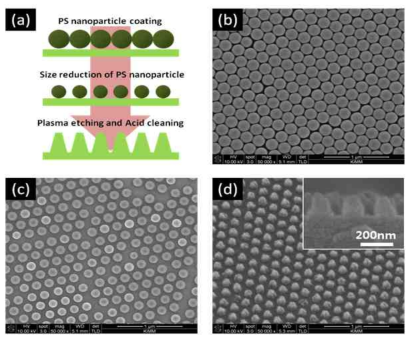 콜로이달 리소그래피를 이용한 표면 나노구조물 형성 공정의 개략도 및 간 단계별 SEM 이미지