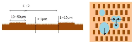 나노/마이크로 복합구조 수분포집 표면 제안