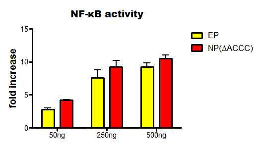 FlaB-NP(ΔACCC)와 FlaB-EP의 NF-kB 자극 활성 비교