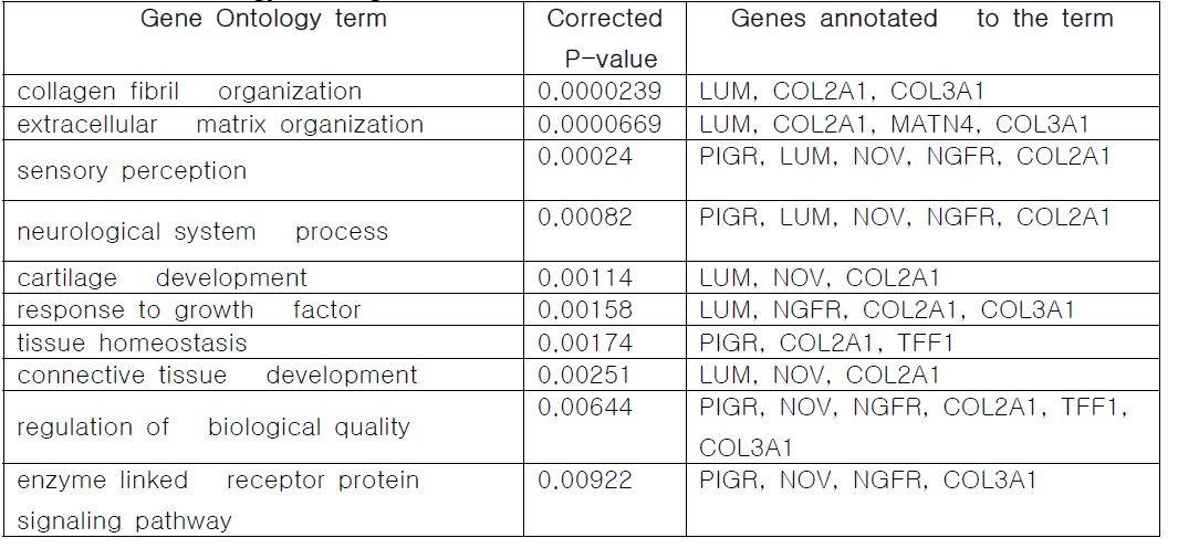 Gene ontolgy- Biological Process에서 enrich된 대표적인 Term