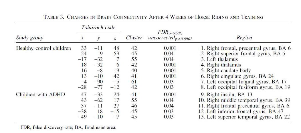 Changes in Brain Connectivity After 4 Weeks of Horse Riding and Training