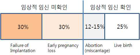 전체 임신 (수정) 후의 임상적 경과.