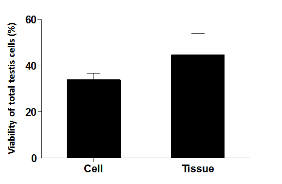 세포동결 또는 조직동결 기법을 통하여 동결-해동된 세포의 생존율