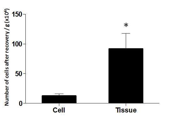원숭이 정소세포와 정소조직의 동결-해동 후, g당 정소세포 회수율