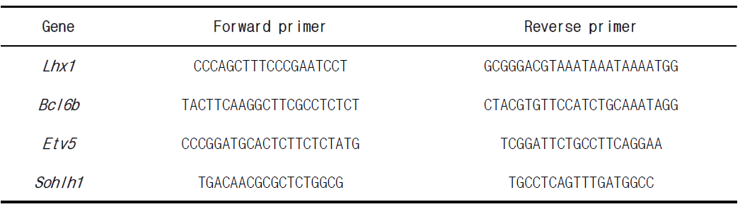 qRT-PCR에 사용된 primers
