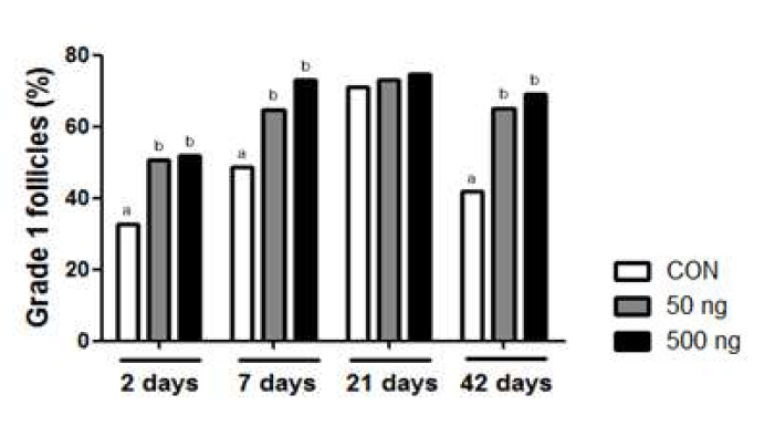 난소조직 이식 전 다양한 농도의 angiopoietin-2를 복강 내 주사한 후 나타나는 grade I follicle rate 변화