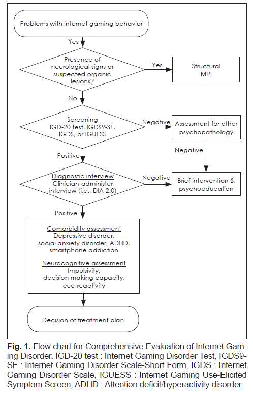 인터넷 게임 장애의 포괄적 진단 평가 순서도
