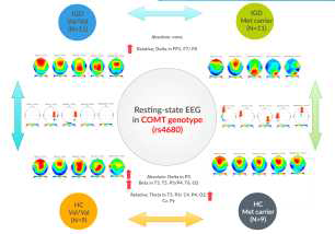 Resting-state EEG in COMT genotype among Internet addiction and healthy controls