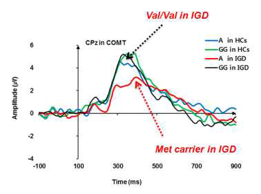 Decreased P300 amplitude in Met carriers of IGD during auditory oddball task