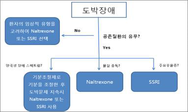 도박 장애의 약물치료 개관