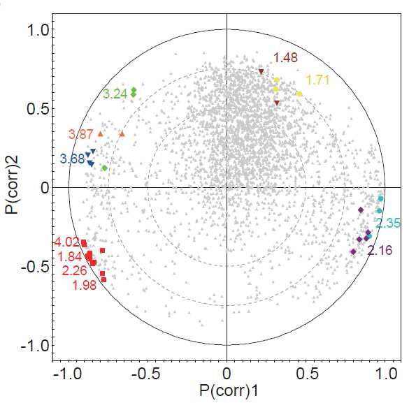 IDH1 WT/MT와 IDH2 WT/MT의 scaled correlation loading plot.